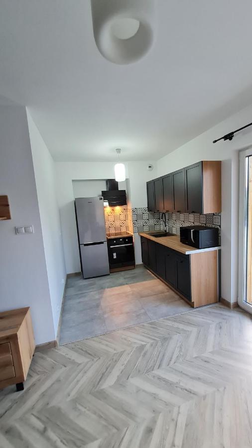 Apartament Cieplice One 耶莱尼亚古拉 外观 照片